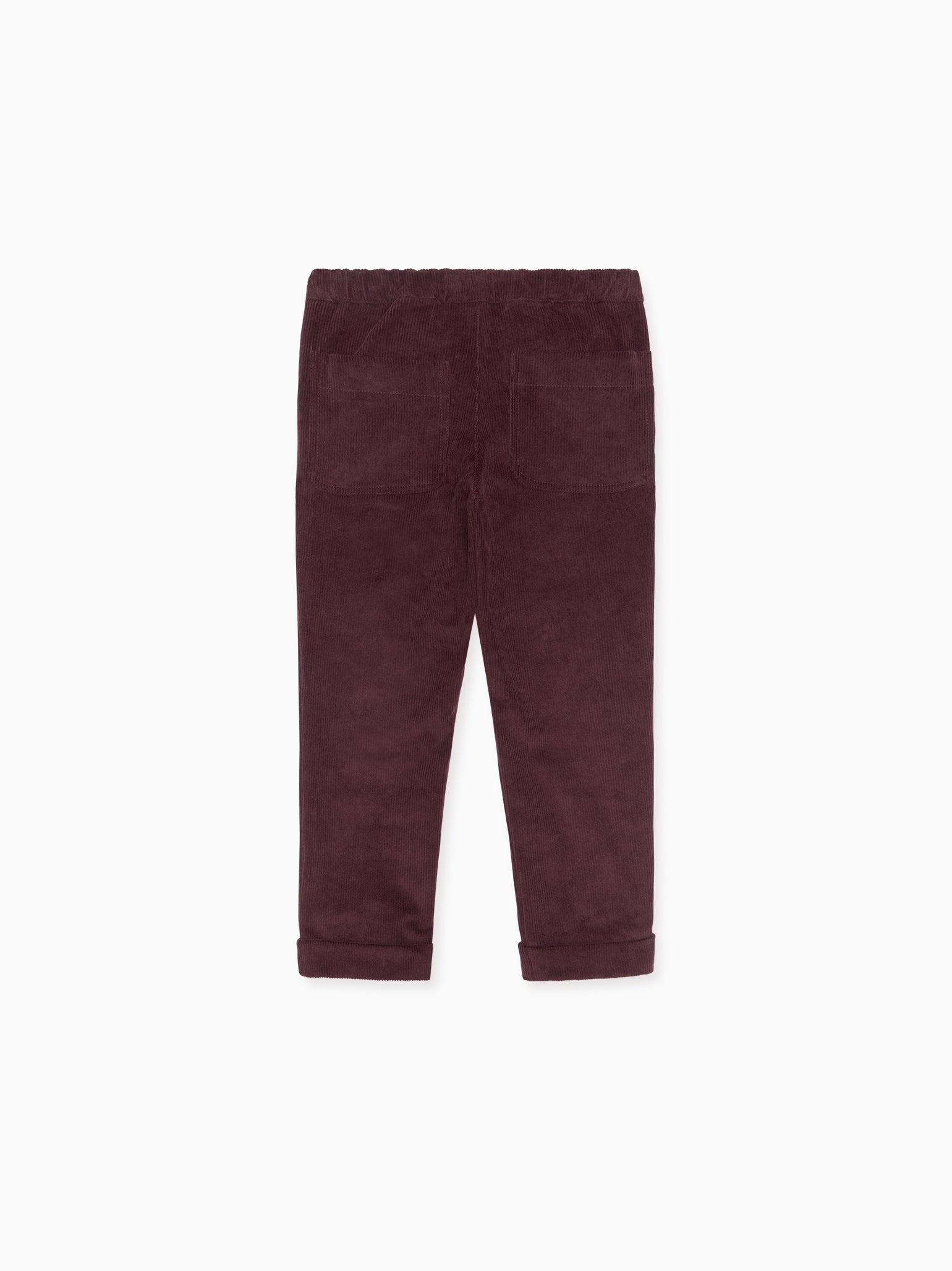 Burgundy Benito Boy Trousers