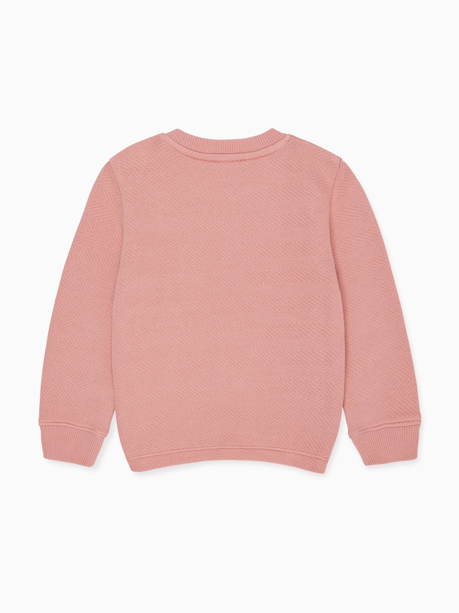 Dusty Pink Saina Baby Girl Sweatshirt